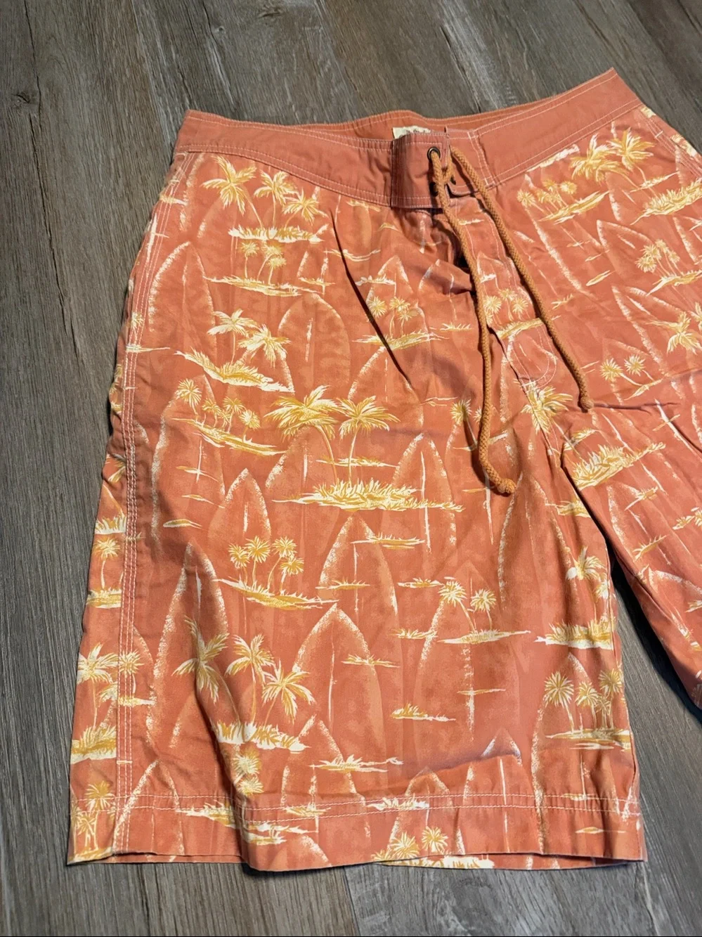 American Eagle Outfitters Orange Palm Print Board Shorts